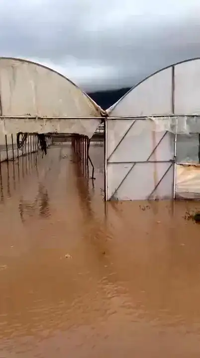 Tarım Arazileri ve Seralar Su Altında Kaldı 3